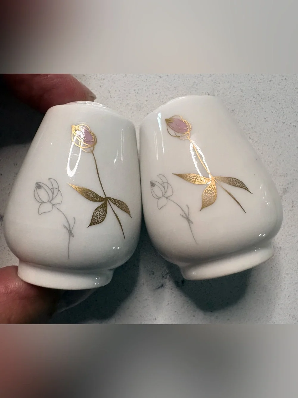 Vintage Rosenthal Selb-Plossberg Germany Salt & Pepper shakers